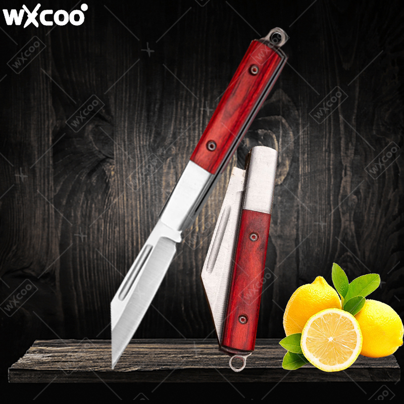 Kitchen Gadgets Sale - Coltello tascabile in acciaio inossidabile Manico