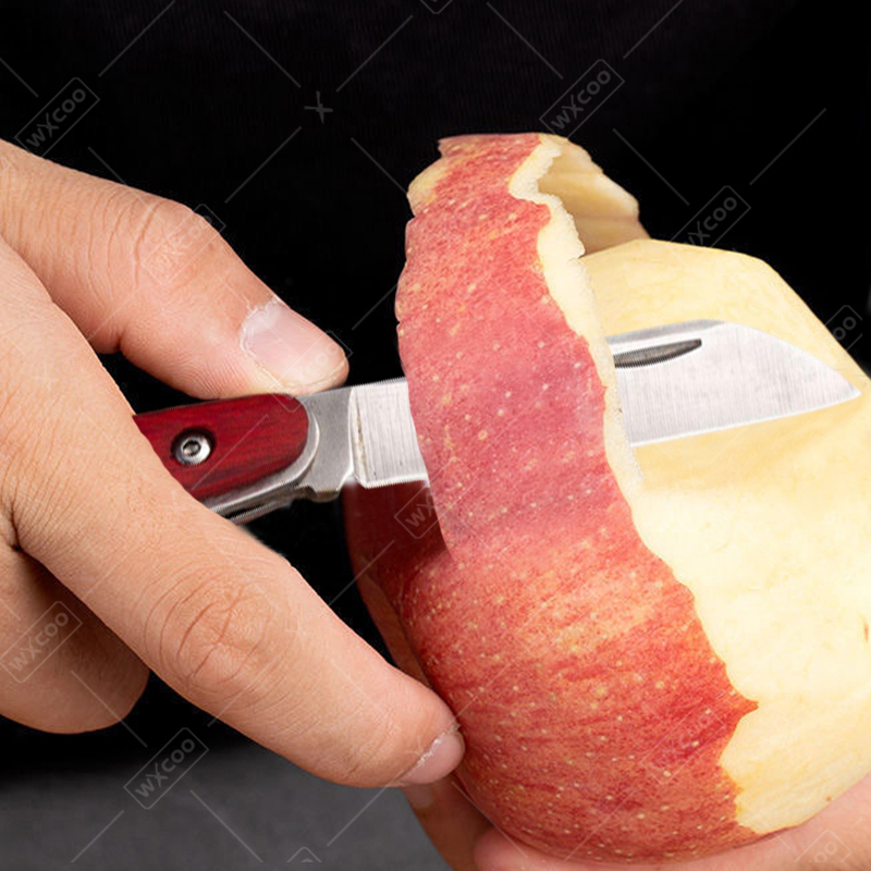 Coltello tascabile in acciaio  - Kitchen Gadgets Sale recensione e prezzo