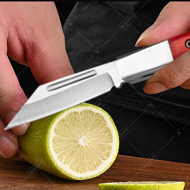 Coltello tascabile in acciaio  - Kitchen Gadgets Sale recensione e prezzo